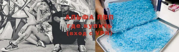 гидра Алексеевка